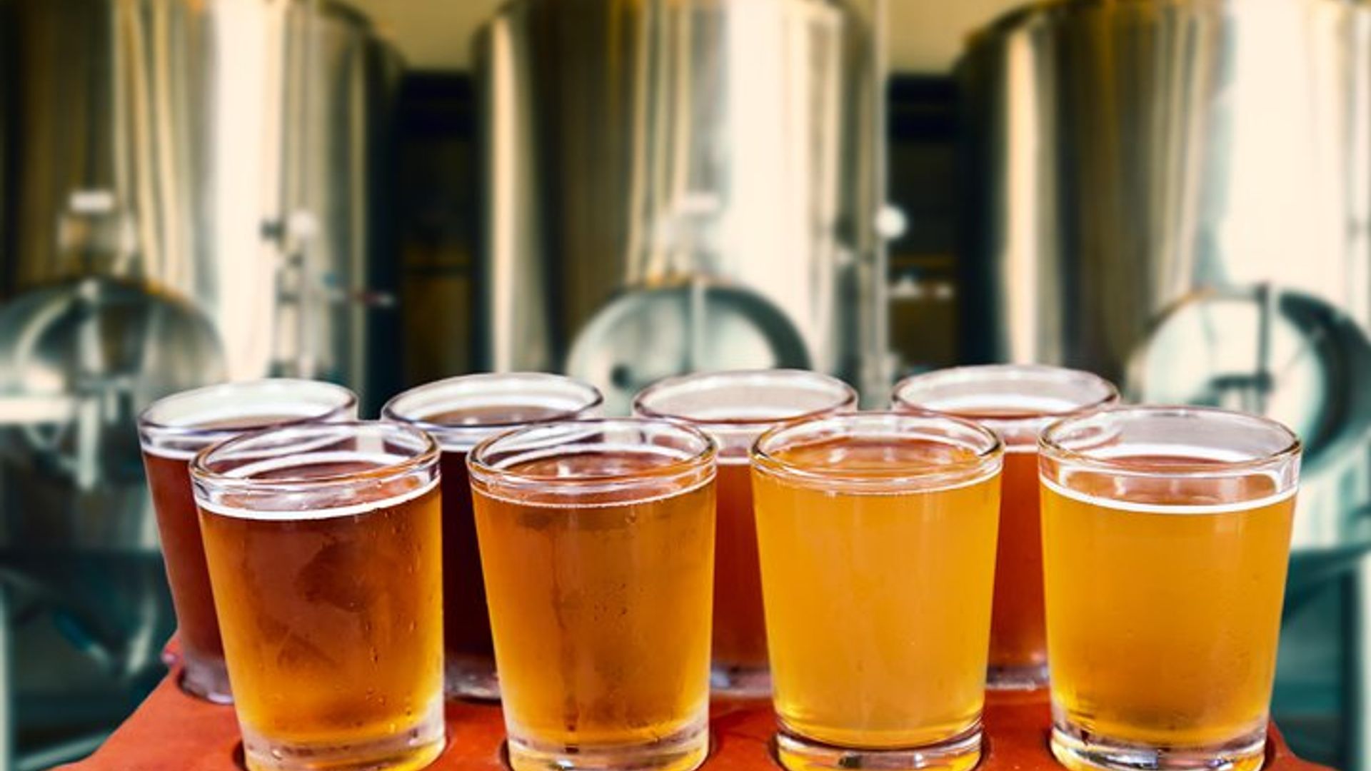 Torun Private Polish Beer Tasting Tour