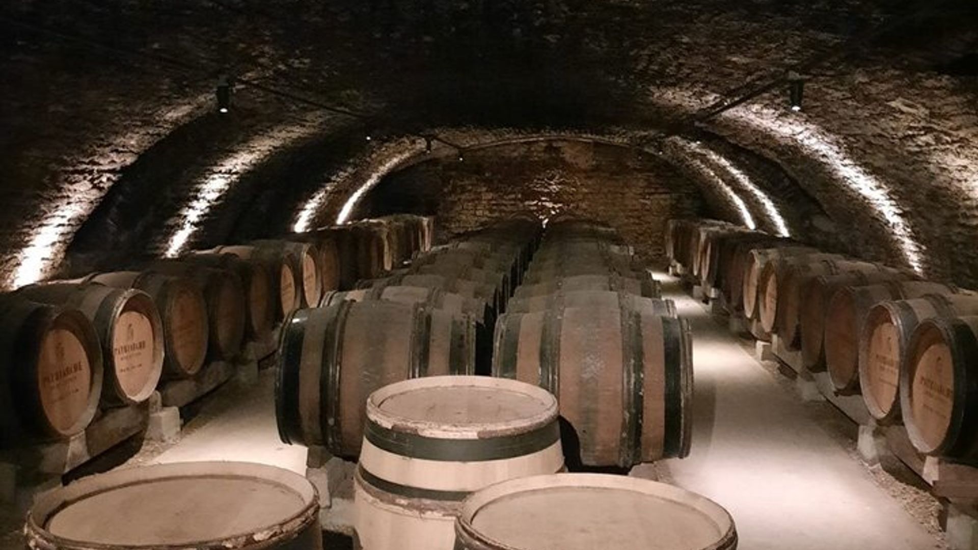 Private Beaune Wine Tour Explore Cellars and Taste Burgundy Wines