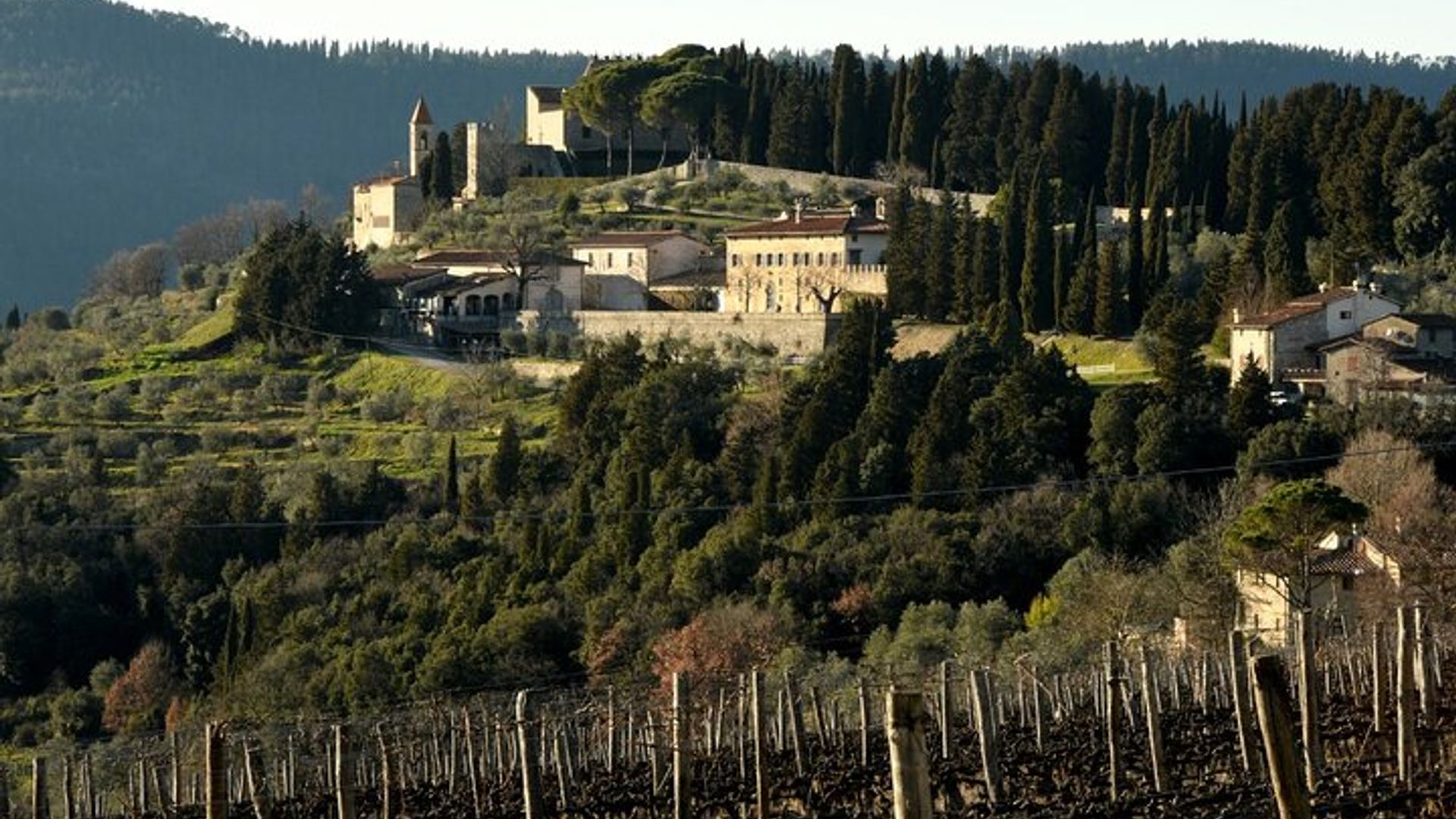 Frescobaldi Wine Lovers' Experience