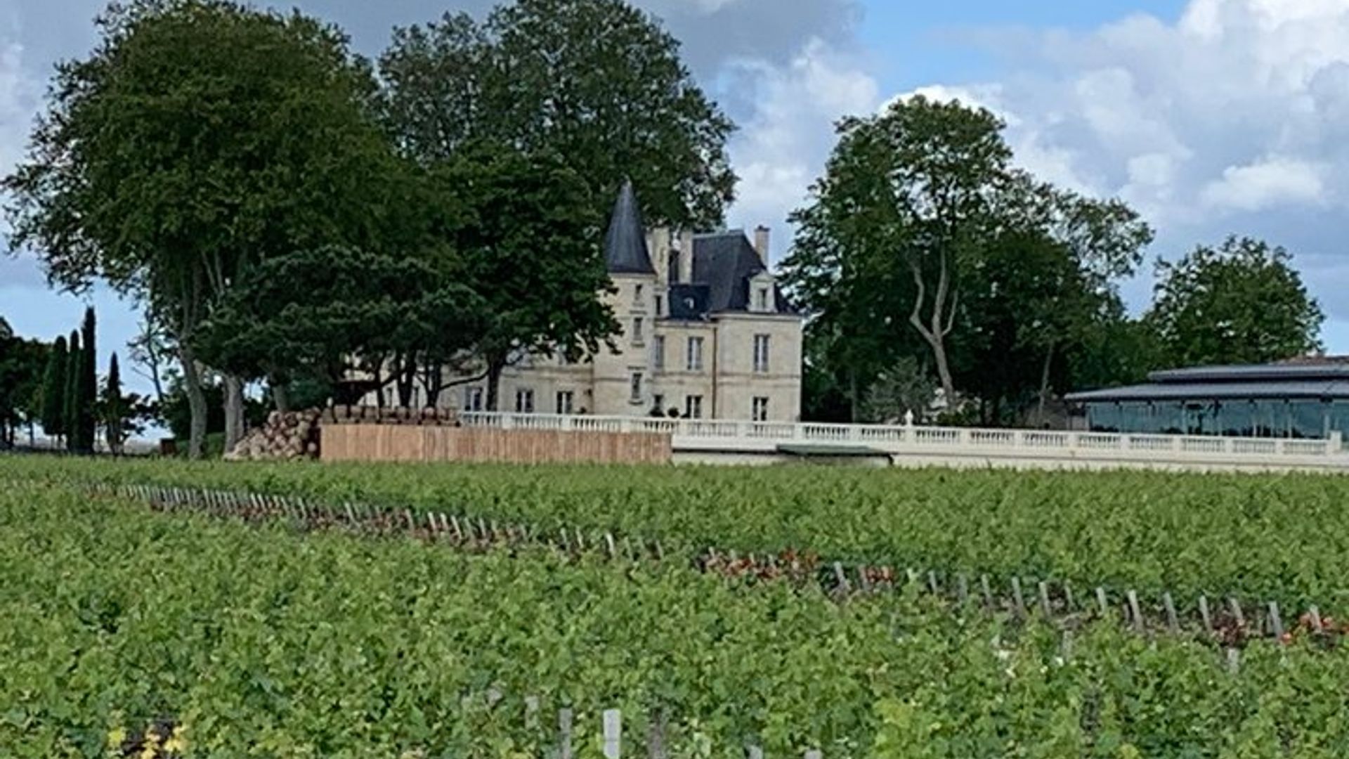 Private Führung und Besichtigung der Medoc Castle Route (Luxus-Minivan)