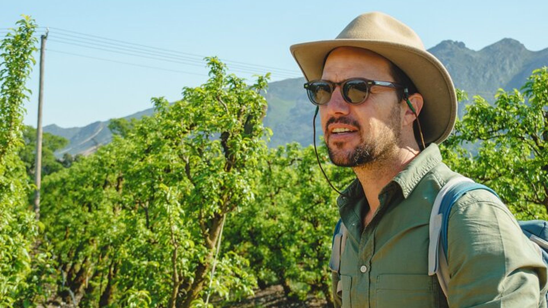 Paseo del vino de Franschhoek con almuerzo