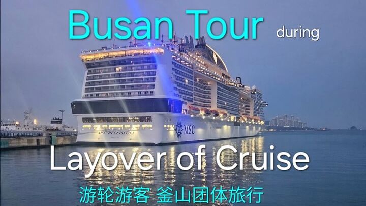 [On Time Return] Busan Tour for Cruise passengers (max 12 Guest)