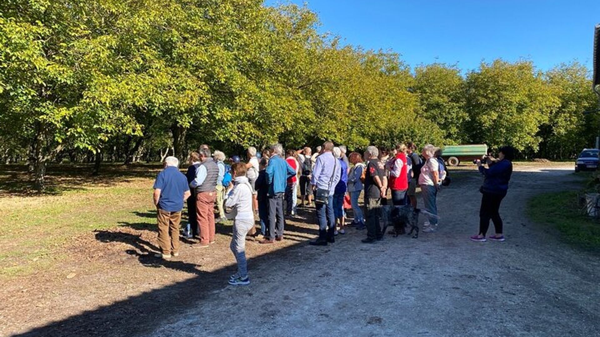 Private immersion visit to the Walnut grove with tasting