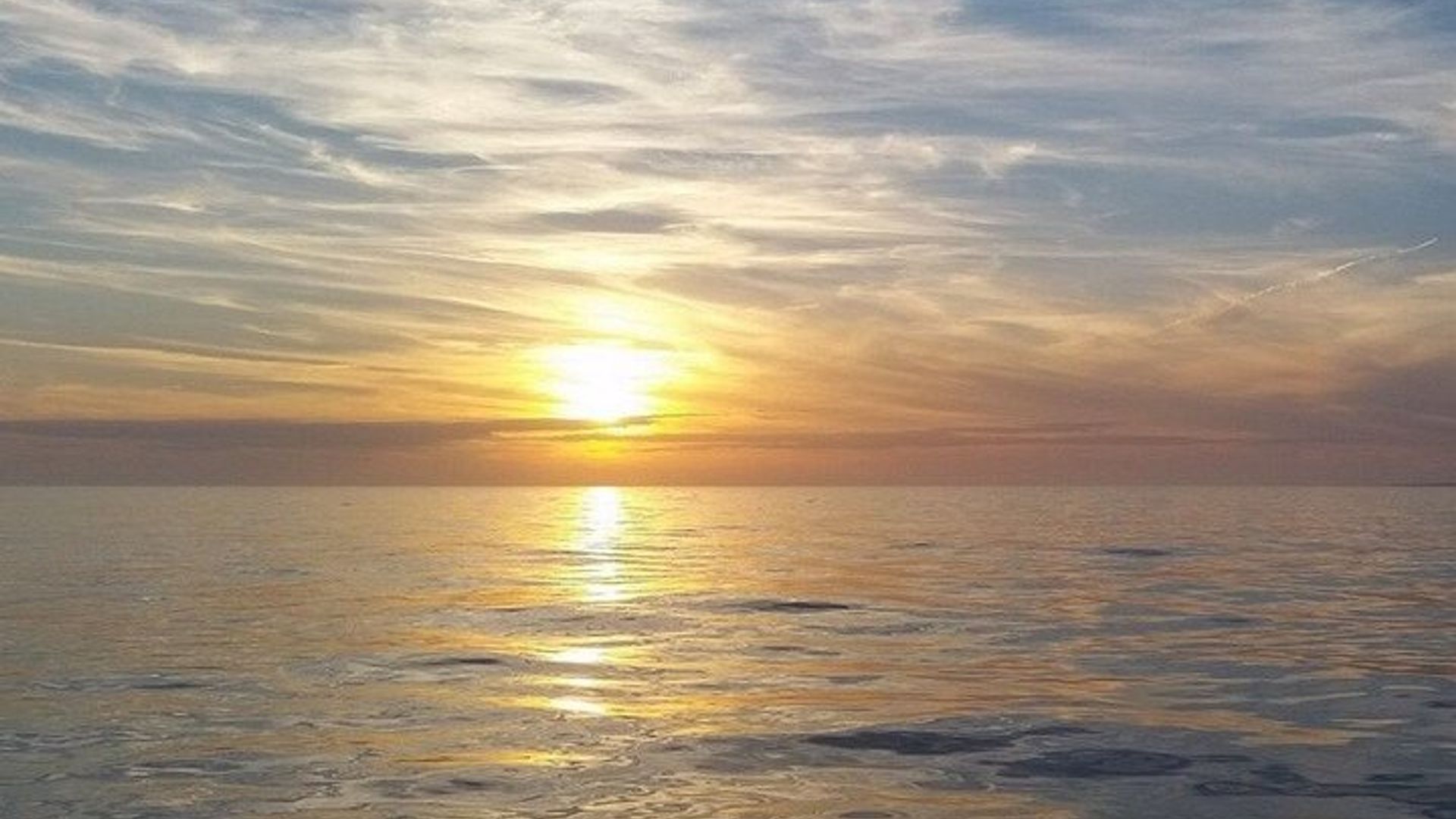 SeaQuest Sunset Dolphin Cruise à Destin