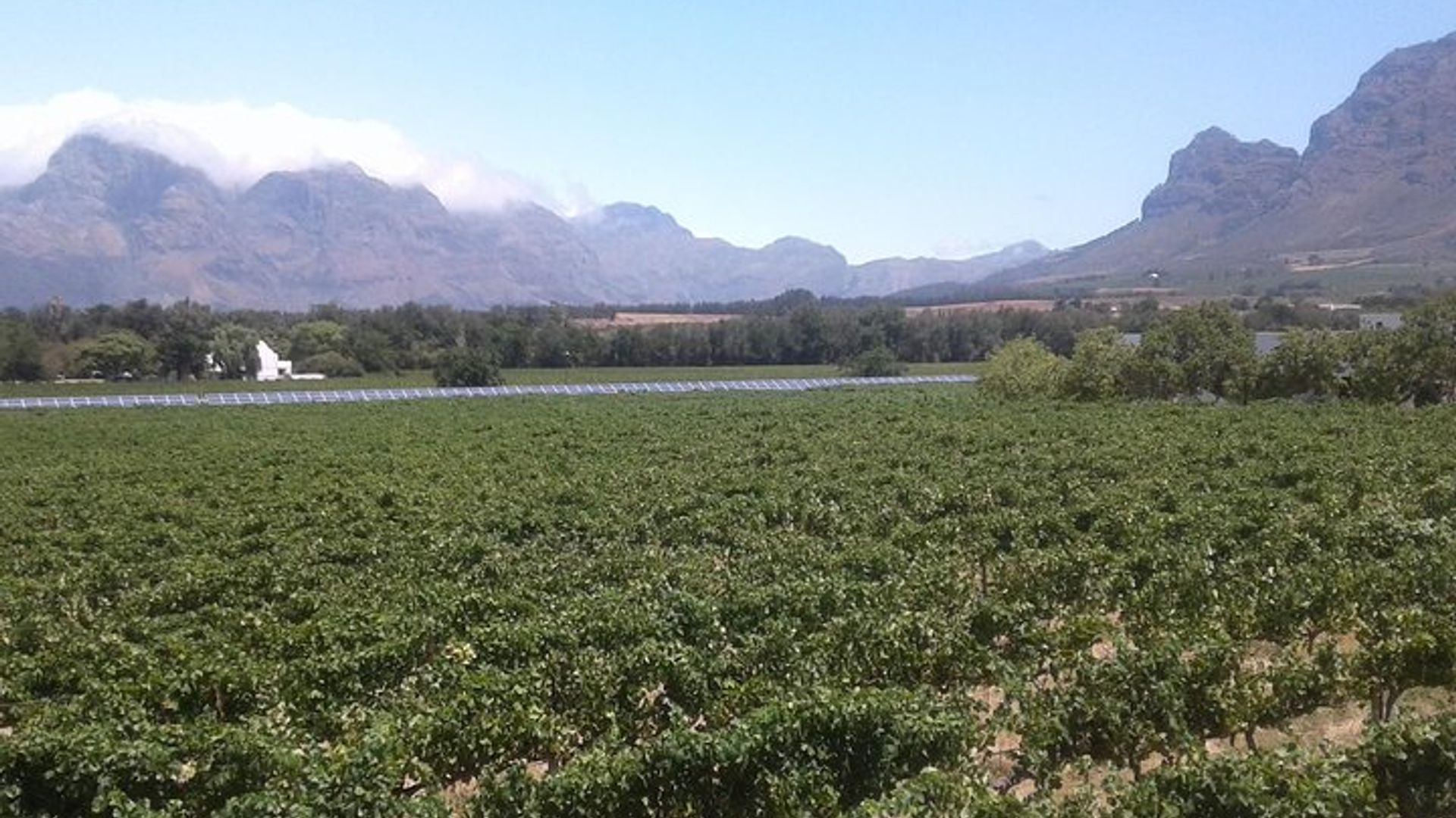 Cape Winelands Private Full-Day Tastings Tour From Cape Town