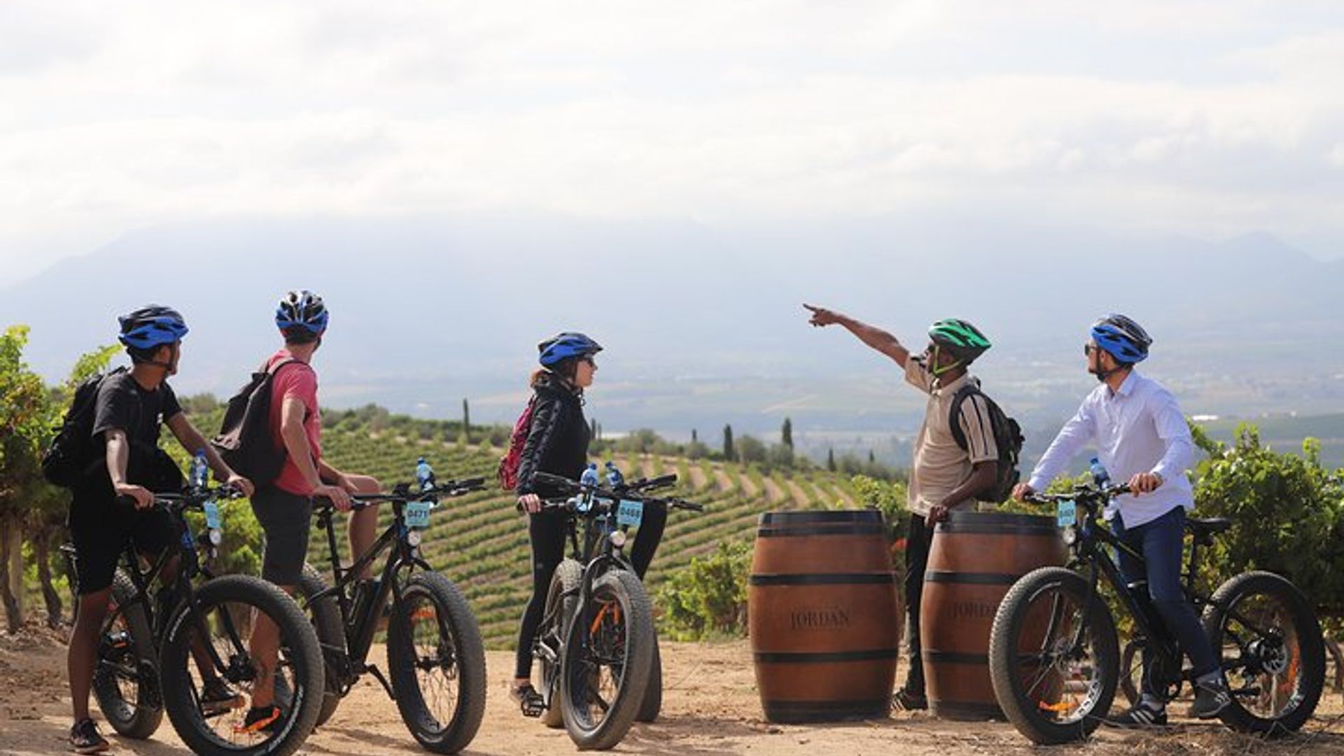 Depuis le Cap: visite d'une journée complète de vignobles à vélo électrique et déjeuner