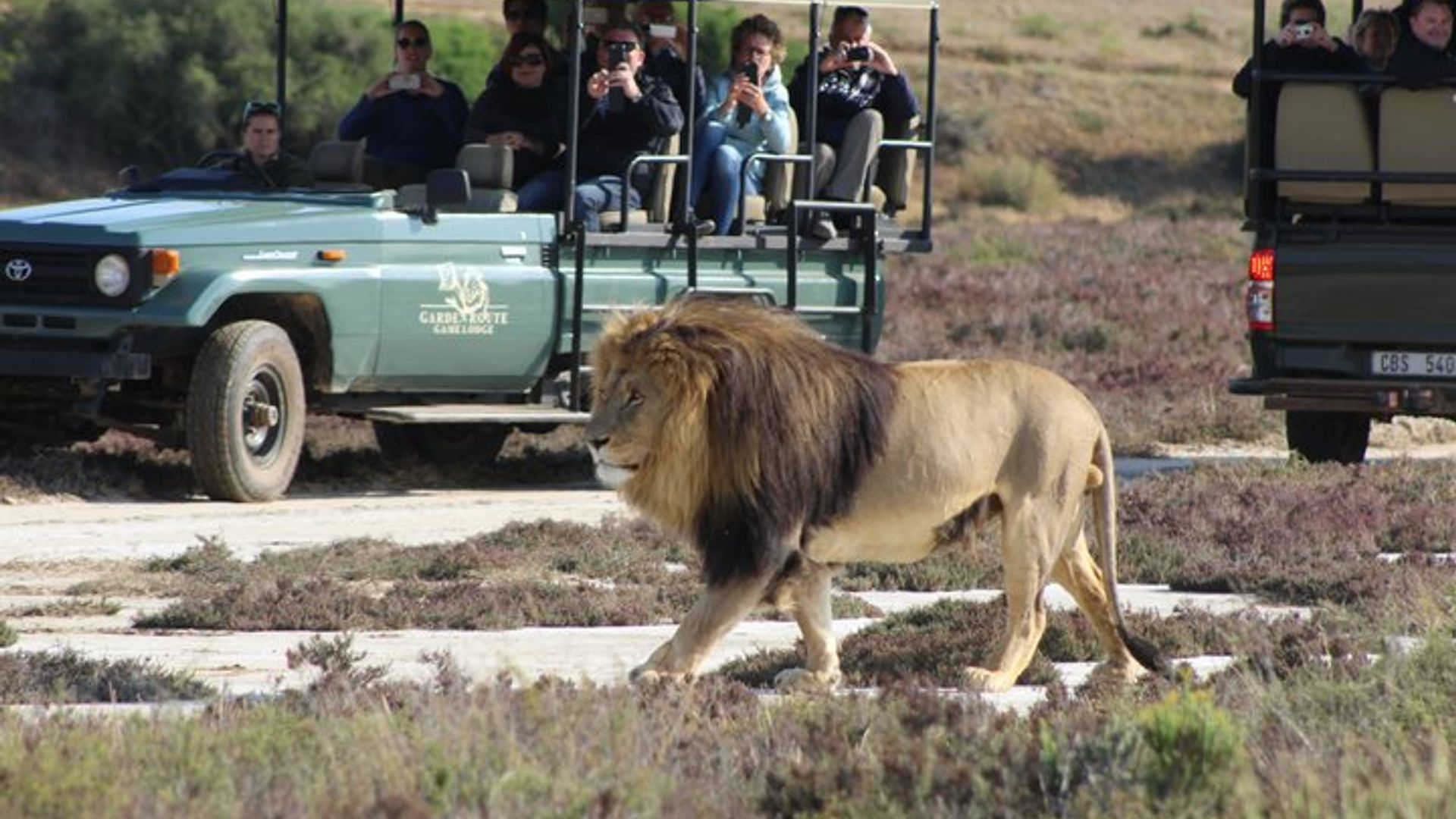 Safari de 2 días por la ruta de los jardines en grupos pequeños desde Ciudad del Cabo