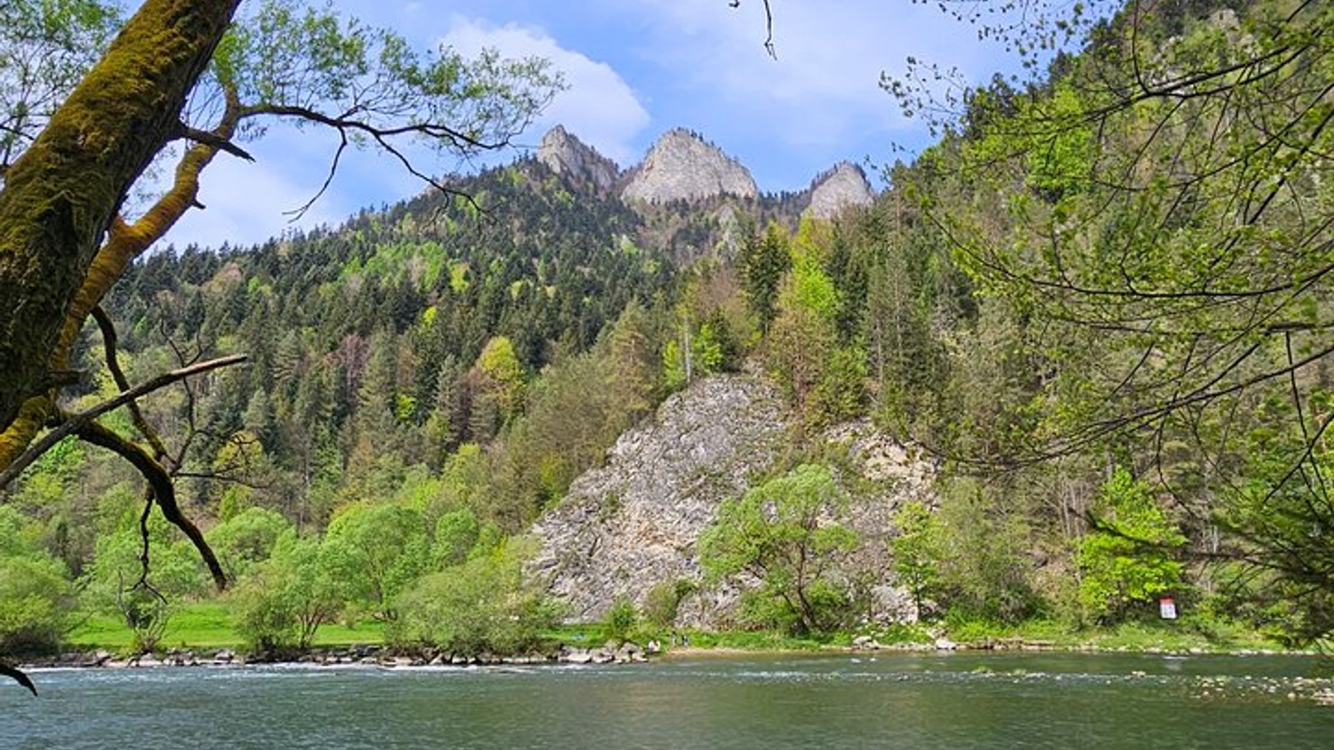 Tour privado de rafting en el río Dunajec de día completo desde Cracovia