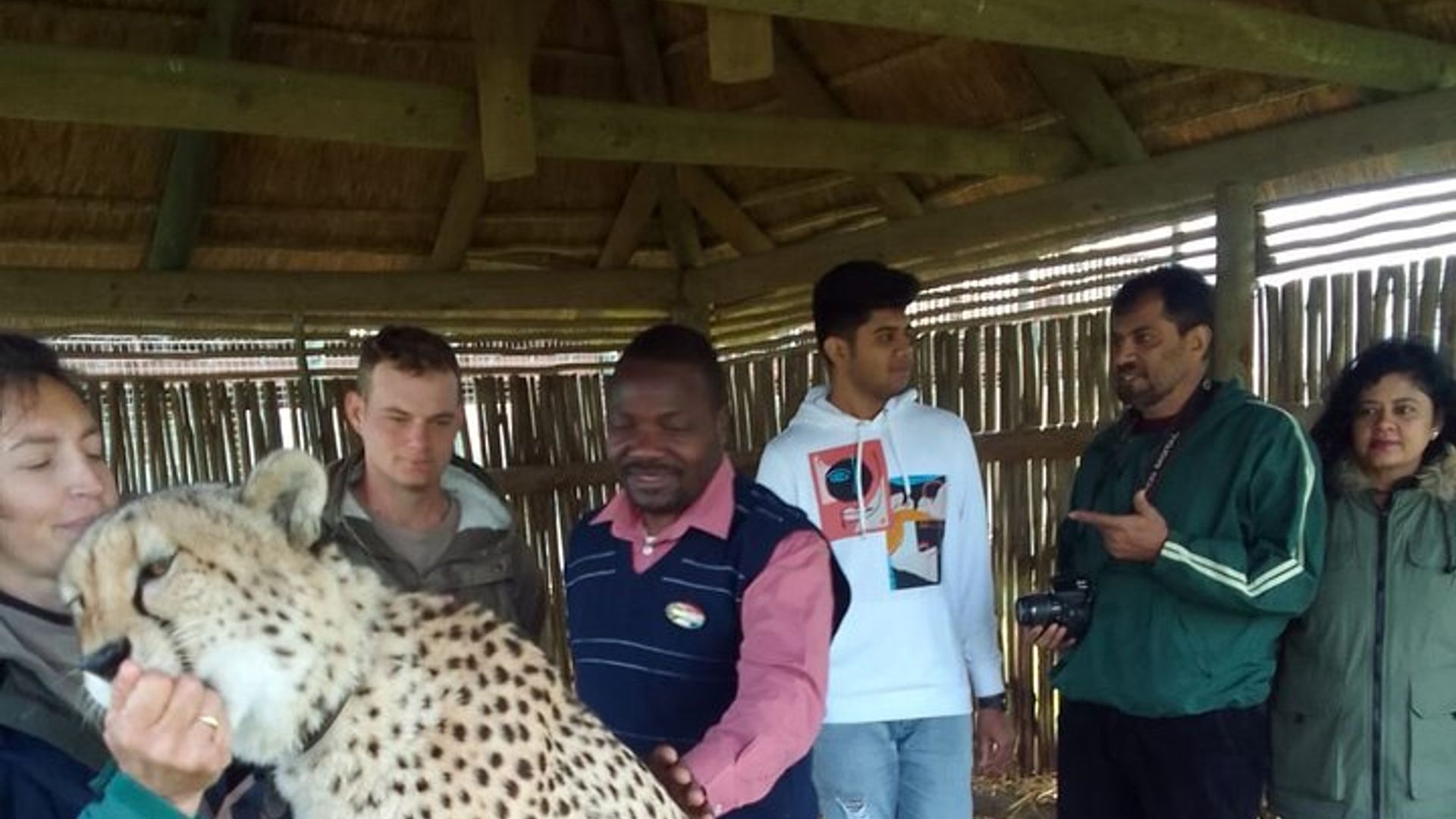 Visite de Cheetah Outreach, Gordon's Bay et Strand Beach
