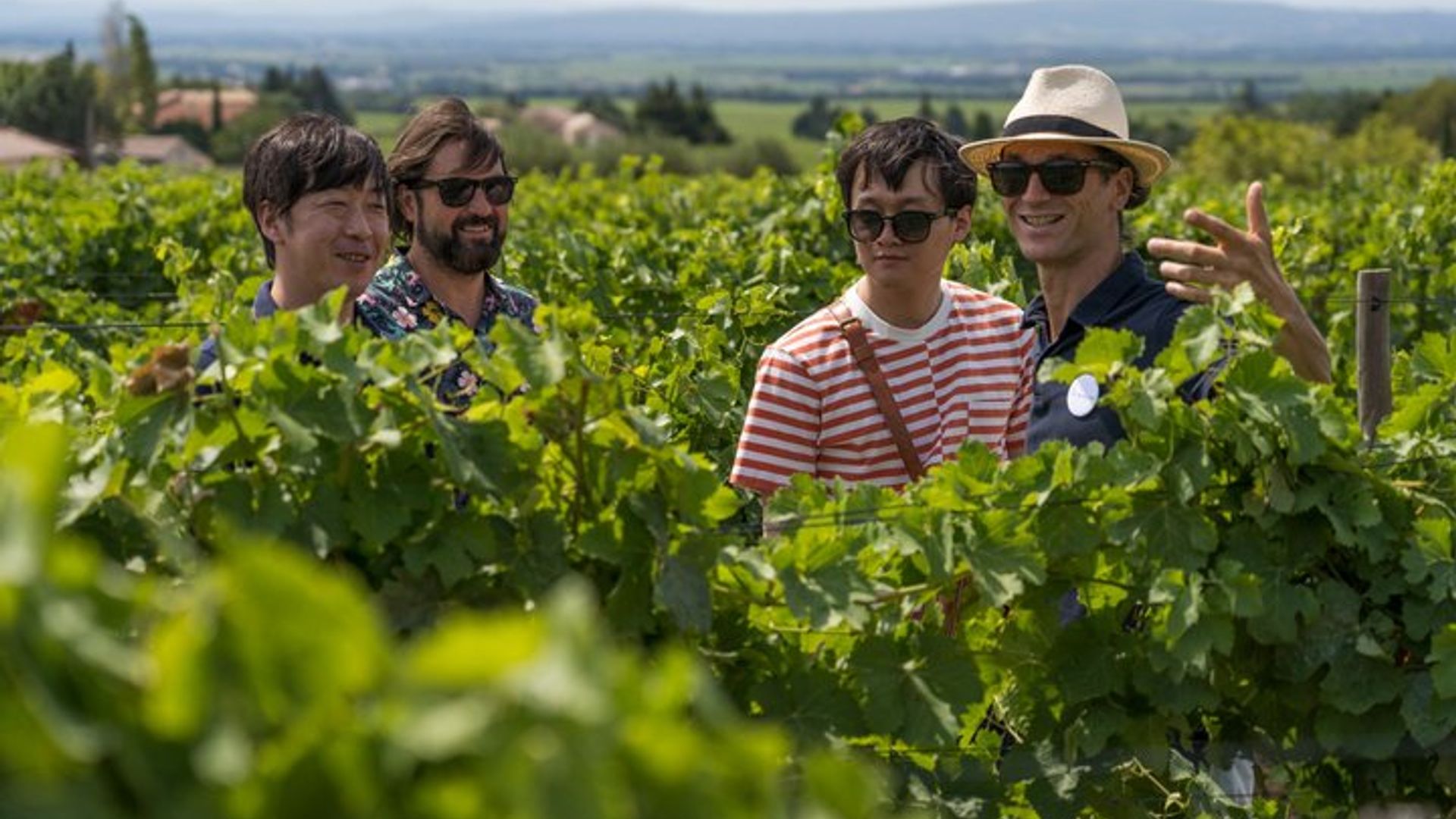 Chateauneuf du Pape Weinprobe in kleiner Gruppe ab Avignon