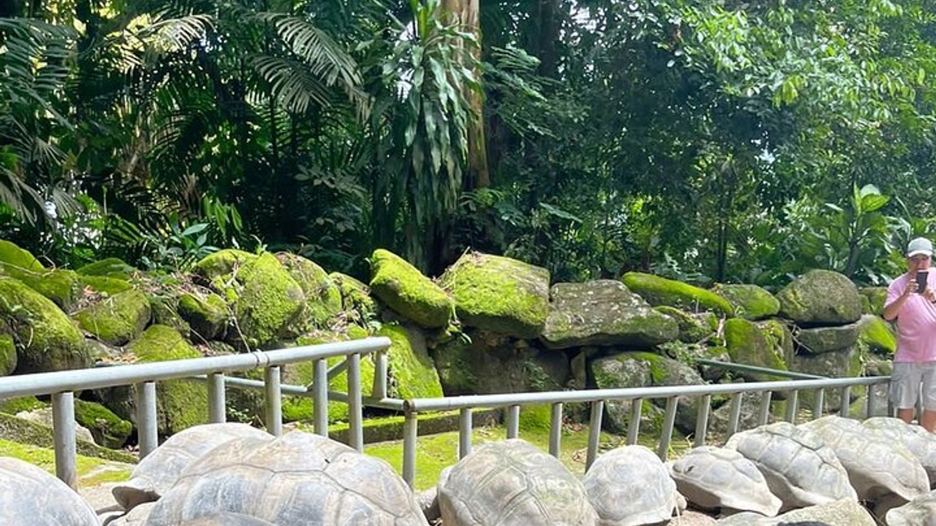 Omnibus service in Seychelles