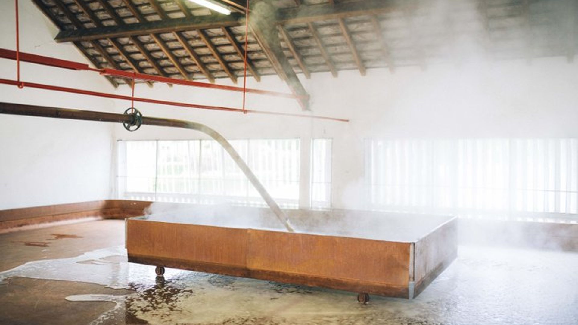 Immersive Brewery Tour for 2 with Beer Flight - Brussels Area