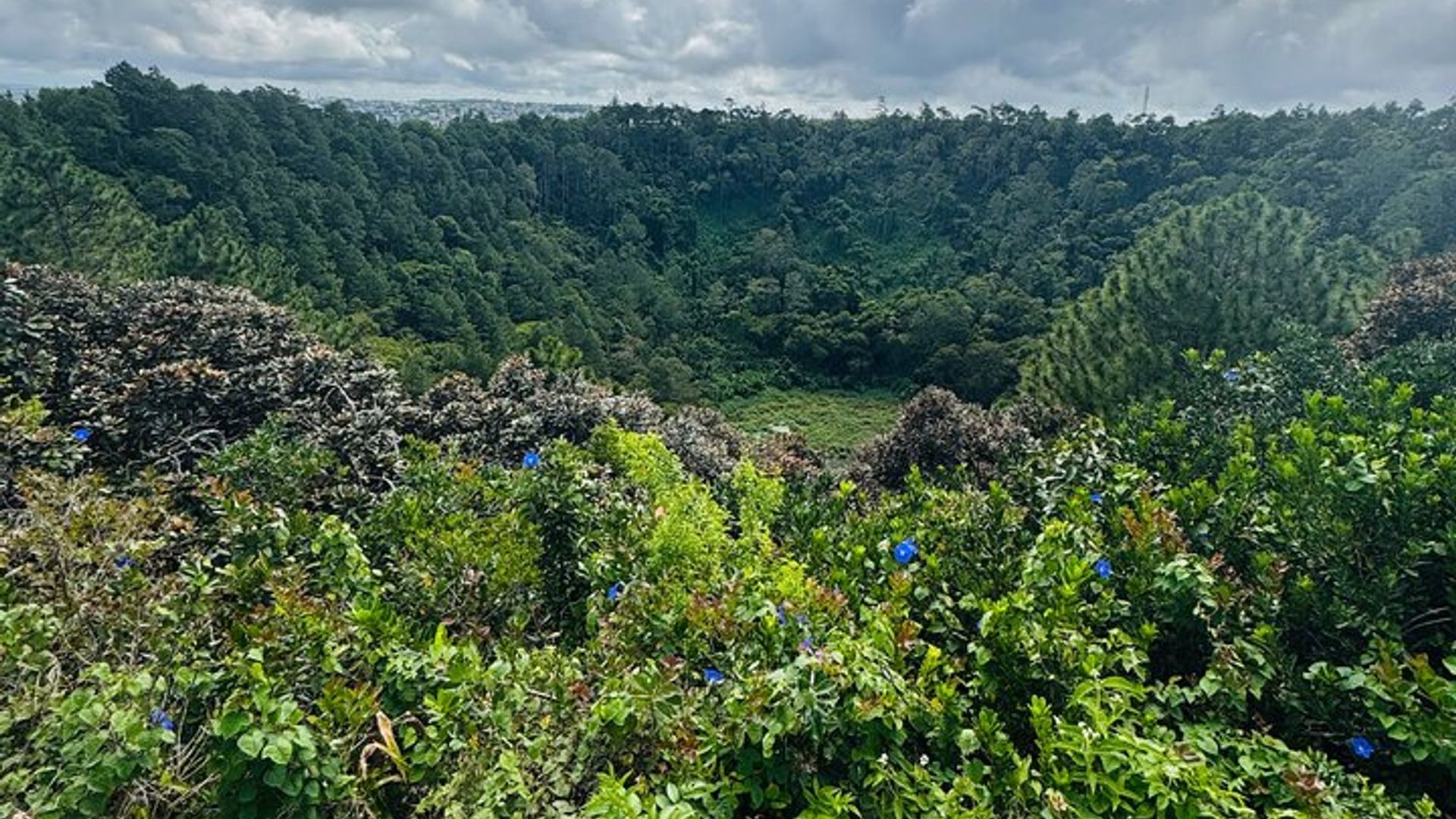 ทัวร์ส่วนตัวทางใต้ เยี่ยมชม Vallee Adventure Park รวมอาหารกลางวัน