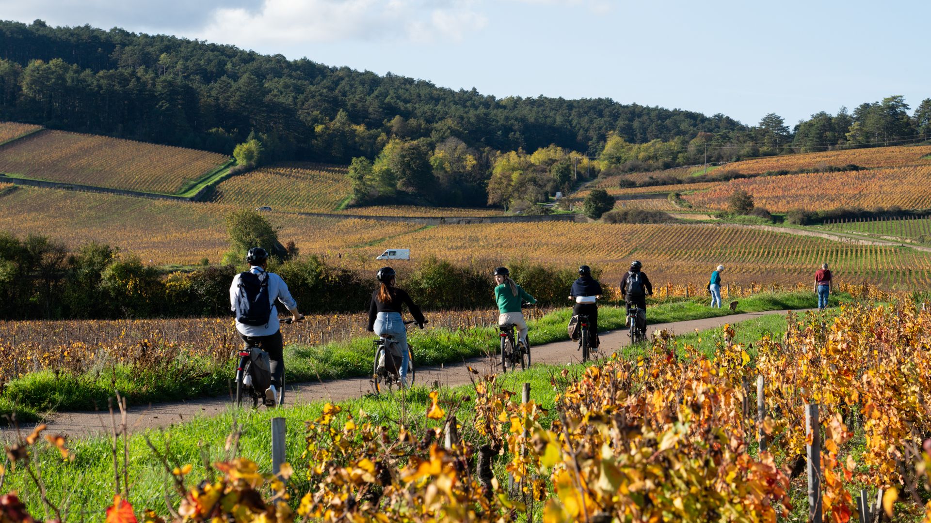 Half-Day Bike & Wine Tour in Burgundy's Côte de Beaune
