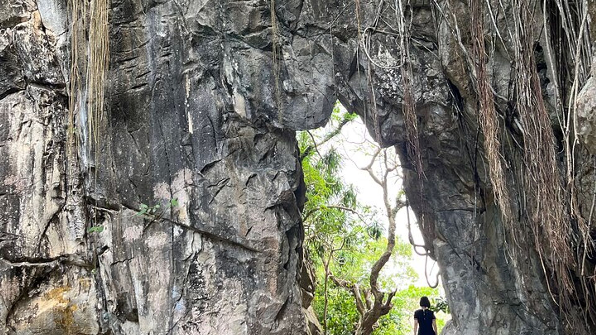 Servicio de conductor privado de medio día para las montañas Marble y Monkey