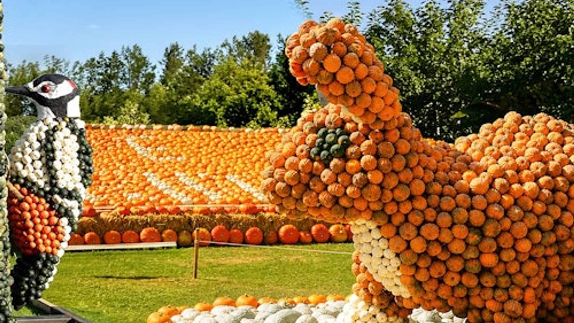 Château de Groot-Bijgaarden : Pumpkimania 2025