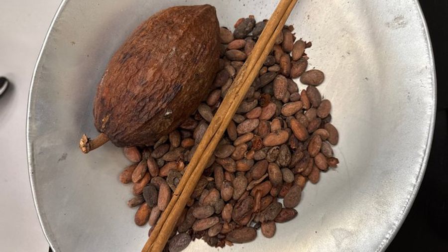 Oaxaca Food Tour with 10+ Dishes of Authentic Mexican Flavors