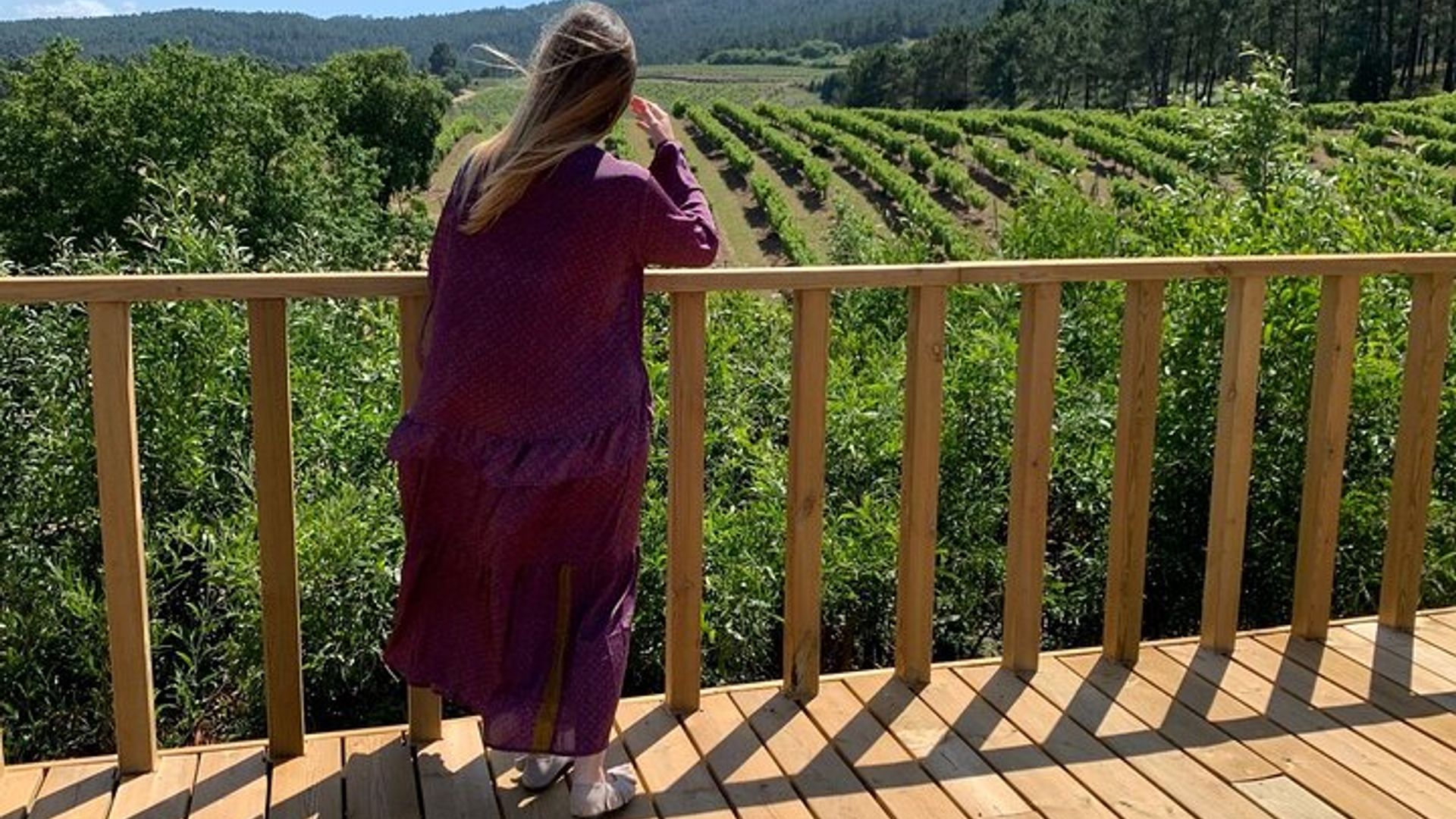 Visite de la cave Rías Baixas avec dégustation d'Albariño et accord fromage