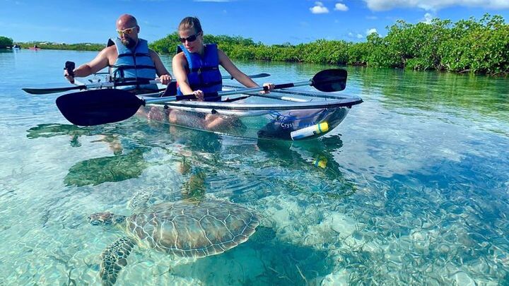 Leeward Small-Group Mangrove Clear Kayak Tour