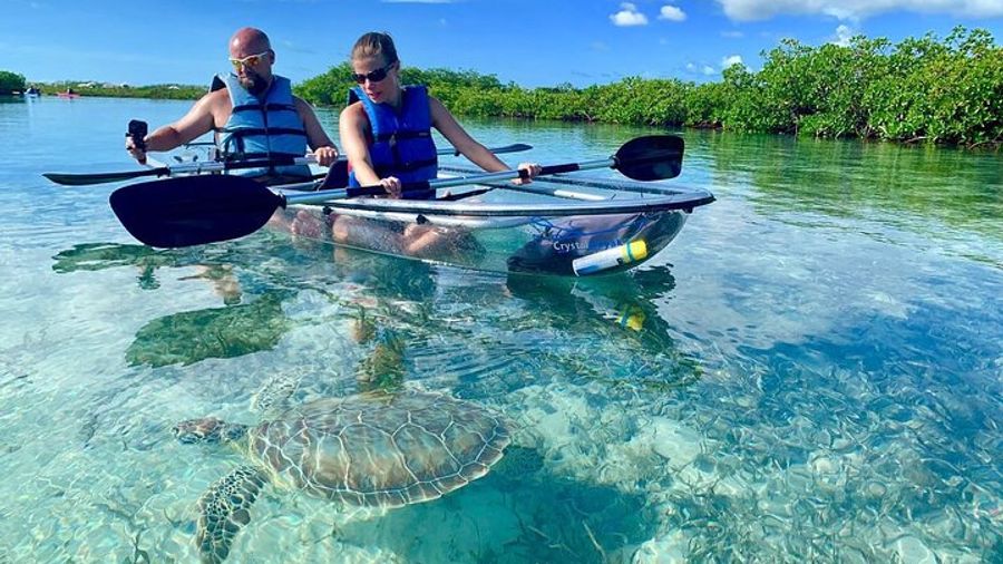 Leeward Small-Group Mangrove Clear Kayak Tour
