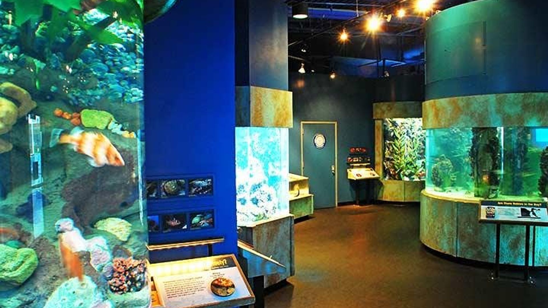 San Francisco CityPASS Including Aquarium of the Bay Admission image 1
