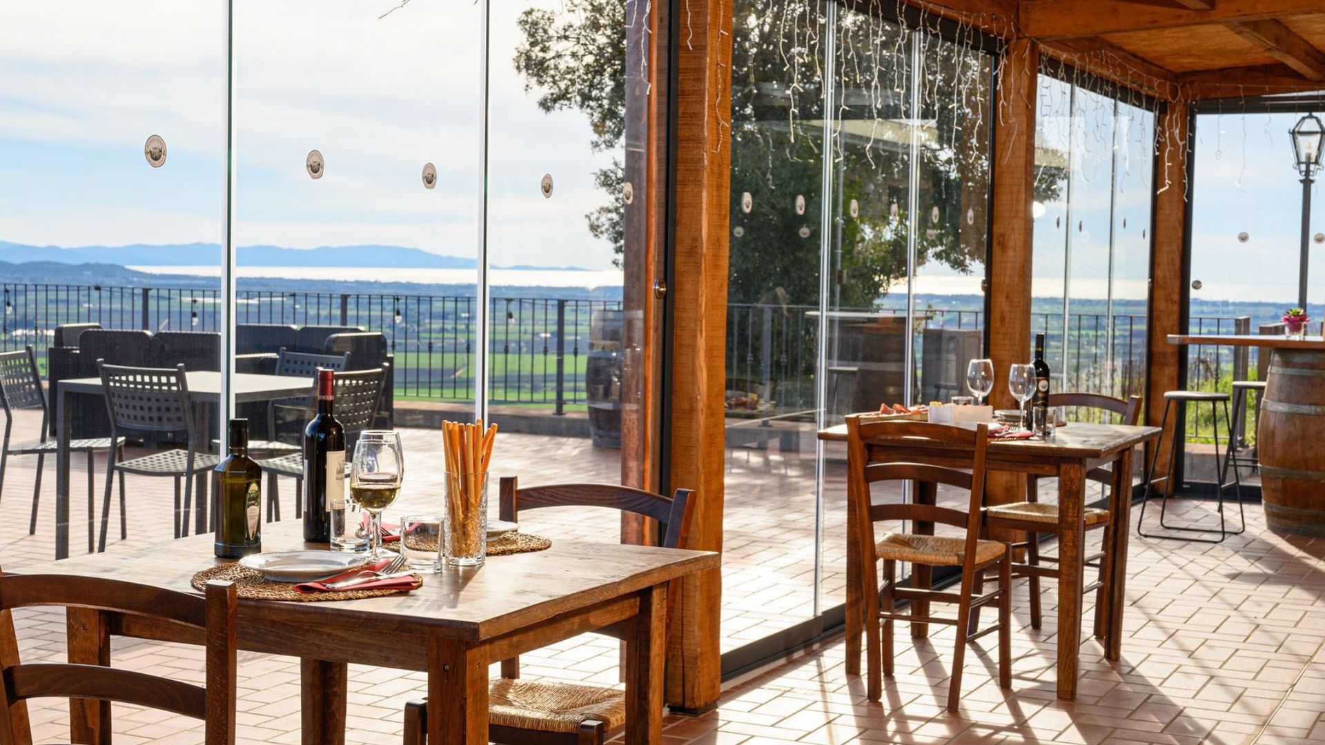 Wine Tasting with Local Food Pairing near Livorno