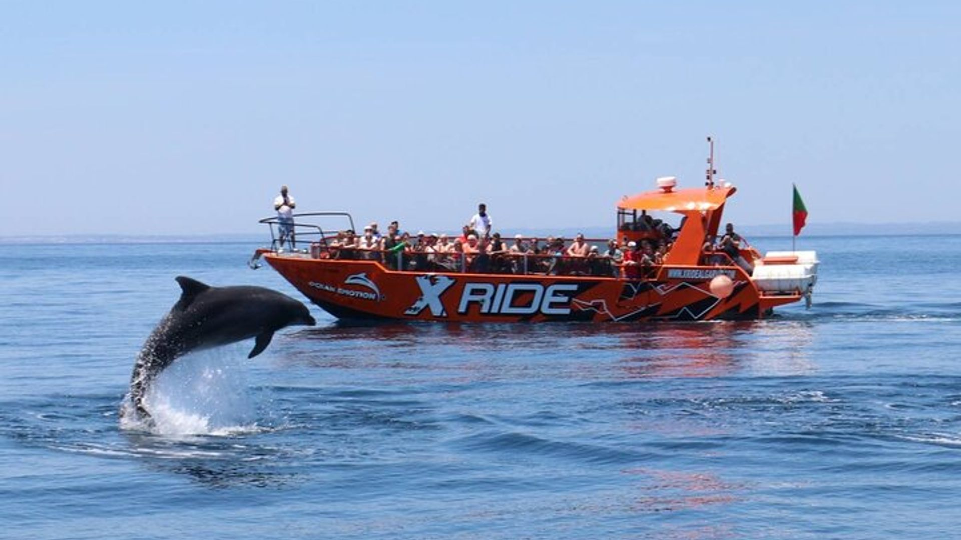 Delfin- und Höhlenkreuzfahrt an der Algarve mit der Benagil-Höhle