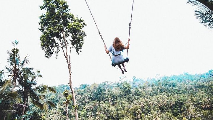 Ubud Full-Day Private Tour with Jungle Swing