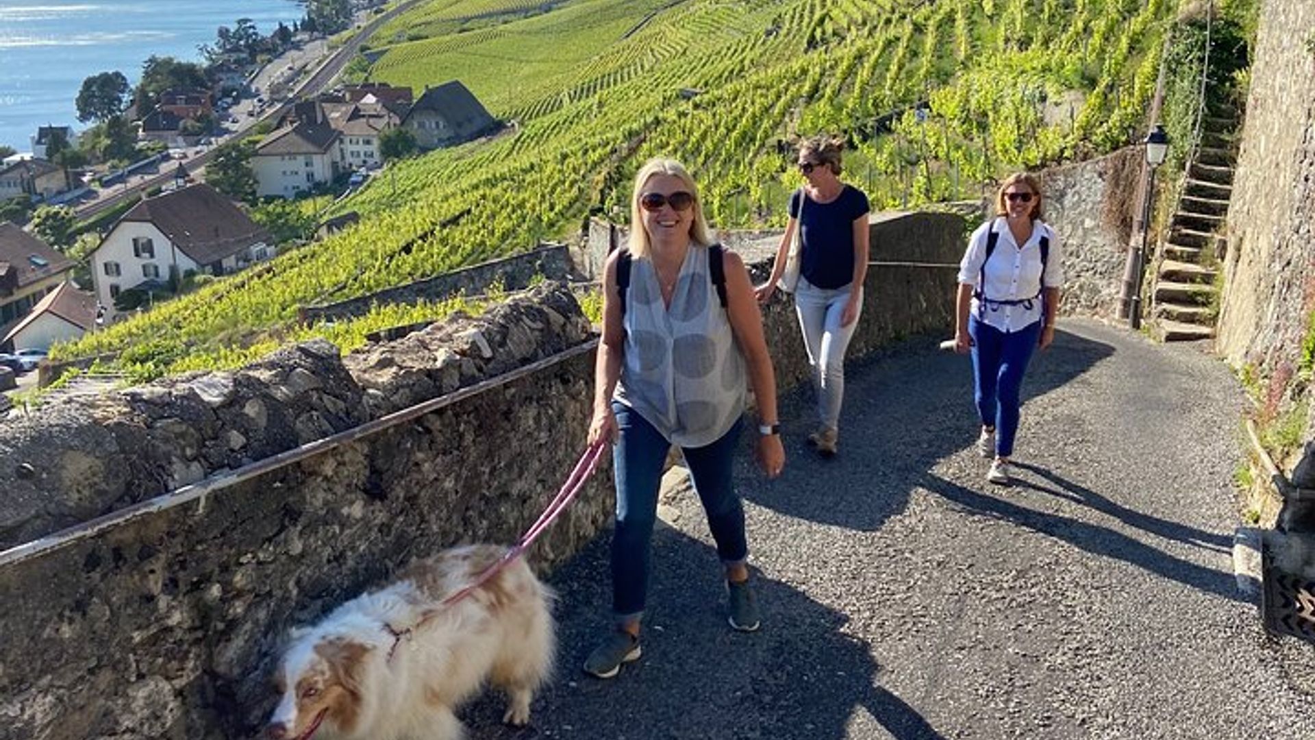 Weingeschichten: Lavaux & Lutry Wine Walk