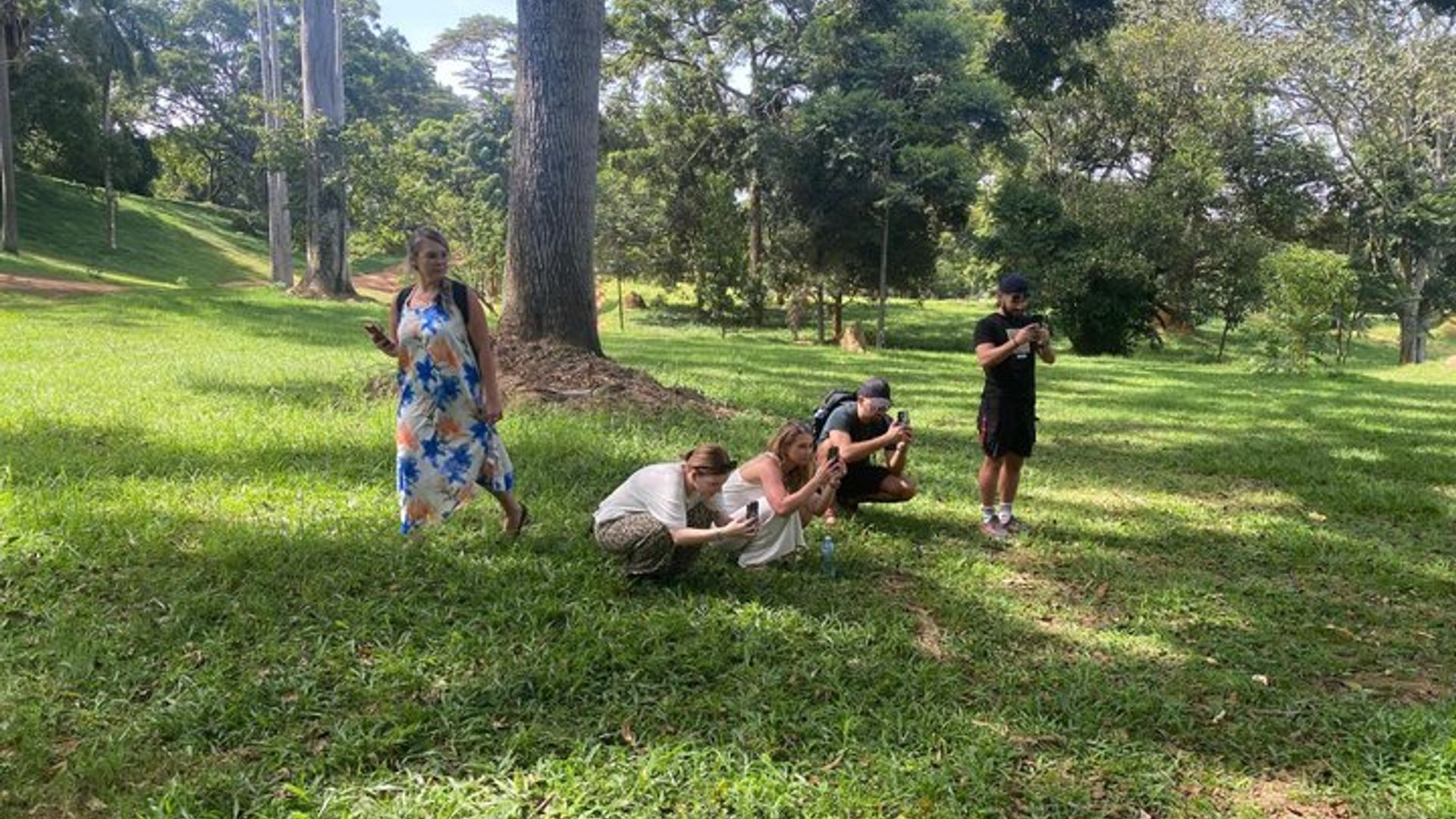 Entebbe Yayoboye Urugendo hamwe na Botanical Gardens & Rollex uburyohe