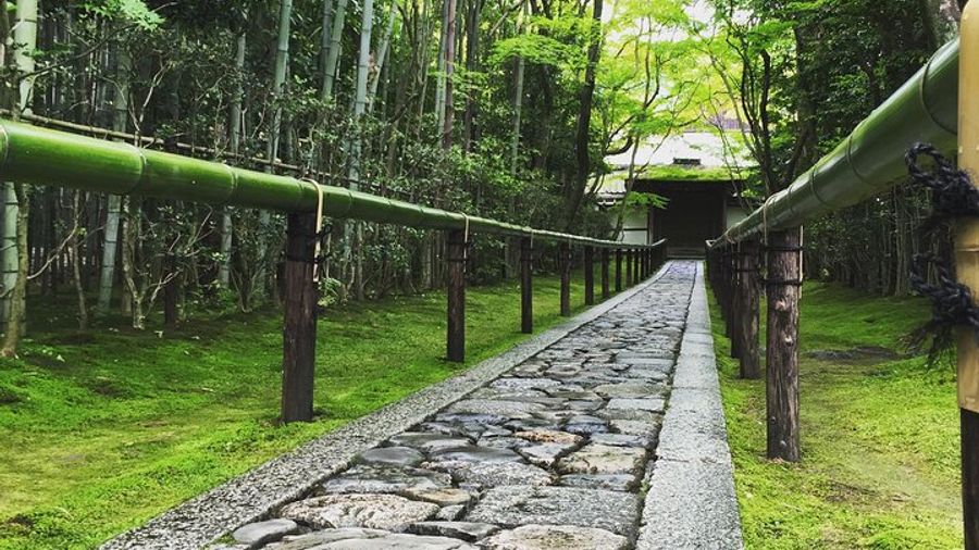 Kyoto: Guided Small-Group Sightseeing E-Biking Tour