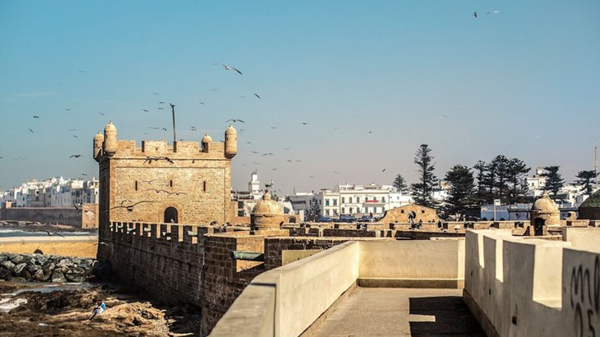 Spice Shores Essaouira Food Tour with 15+ Tastings