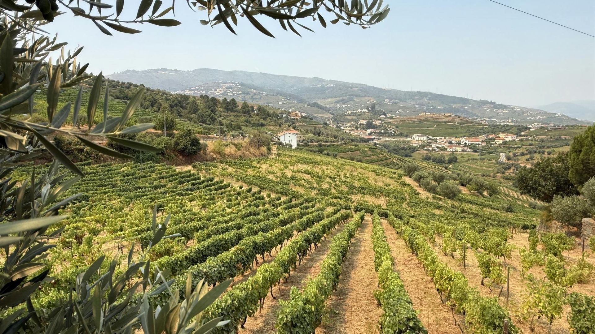 Wine tasting at Quinta dos Novais in Douro Valley