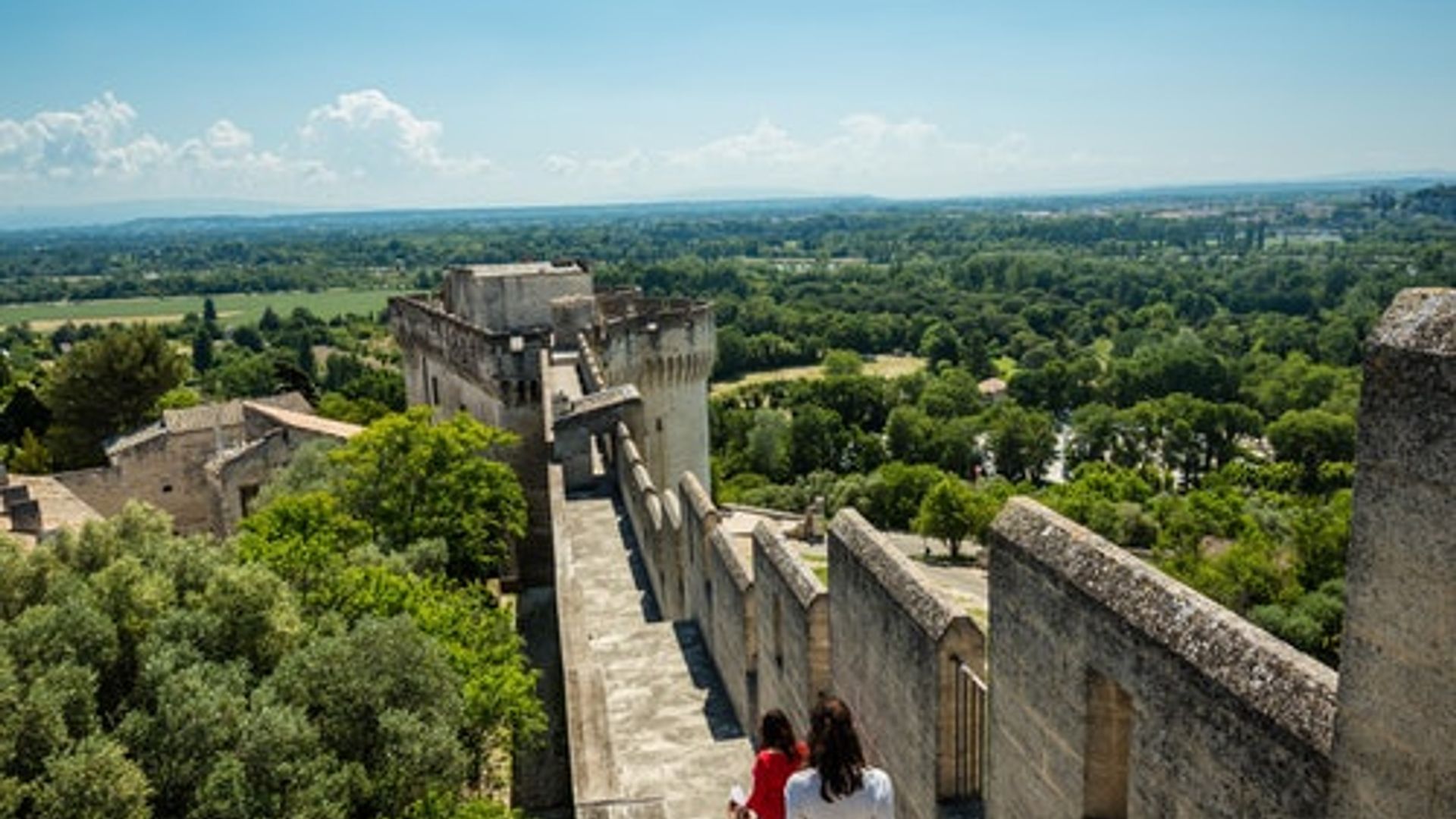Fort Saint-André: Entry Ticket
