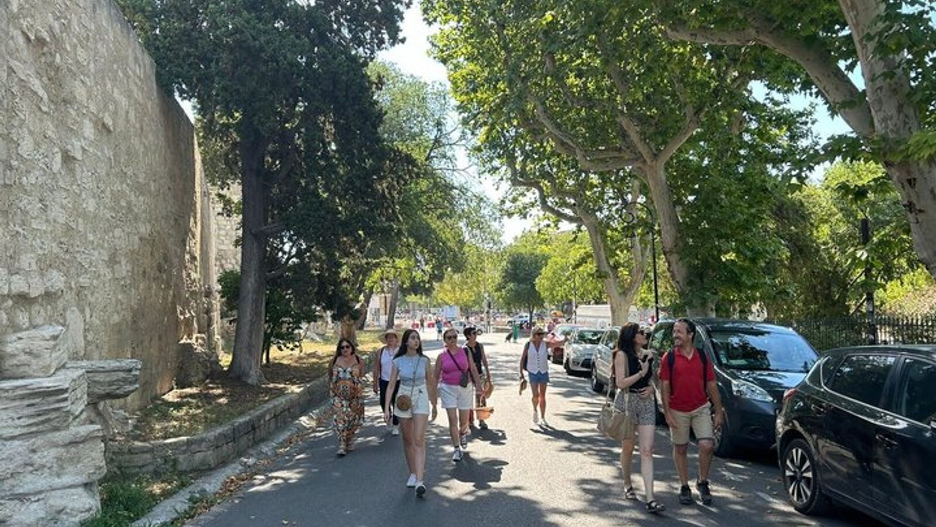 Private Guided Tour of Arles Roman Monuments and Van Gogh Trail