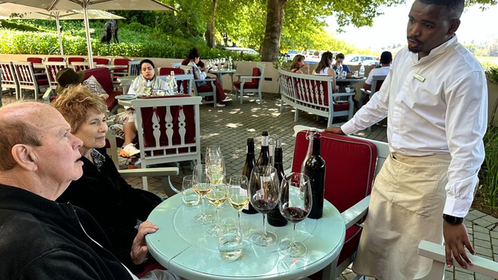 Visite privée des vins de Cape Winelands
