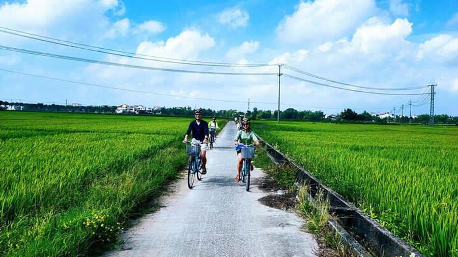 Hoi An Countryside Cycling Tour with Basket Boat Ride & Lunch