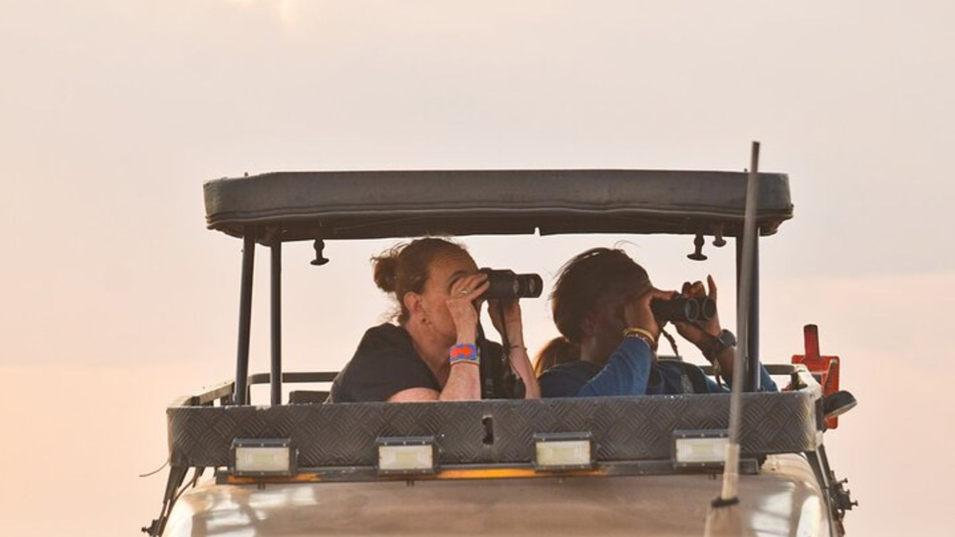 Half Day Nairobi National Park Safari