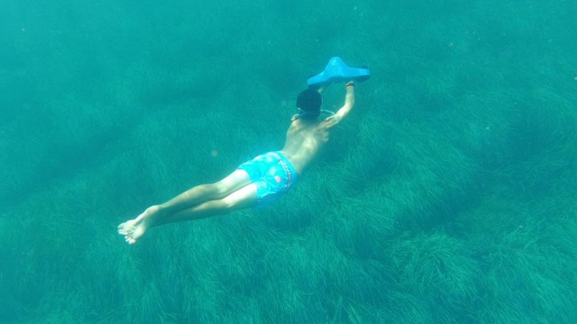 Cannes Lerins Islands Private Half-Day Sailing Snorkeling Tour