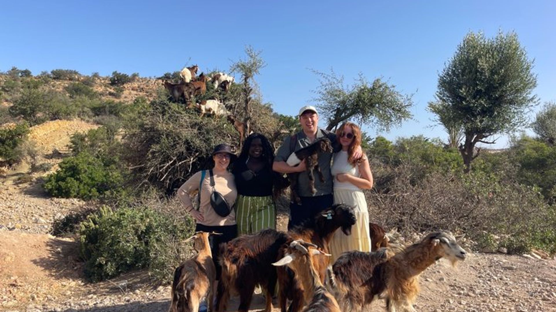 Paradise Valley & Atlas Mountain Tour With Hotel Transfers