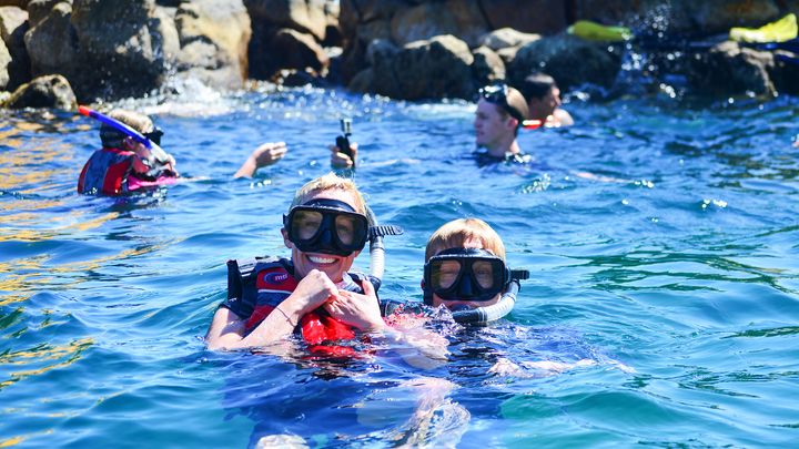 Los Cabos Snorkeling Tour to Chileno Bay and Santa Maria Cove