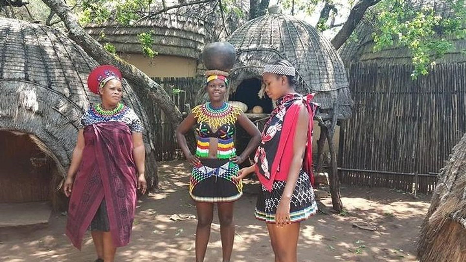 Johannesburg Private Tour with Lion Park and Mandela House