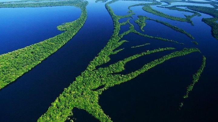 8-Hour Amazonas Jungle Treck & Anavilhanas Archipelago