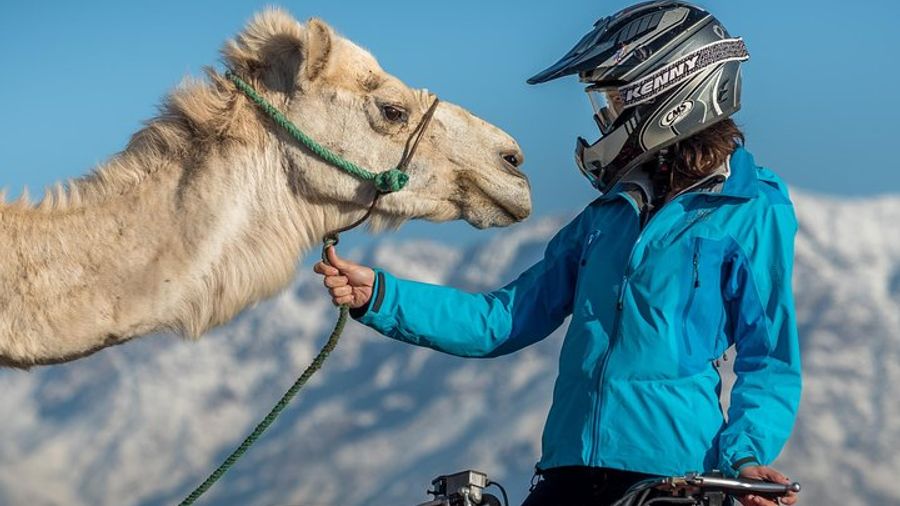 Marrakech: Camel & Quad Biking Tour With Moroccan Lunch