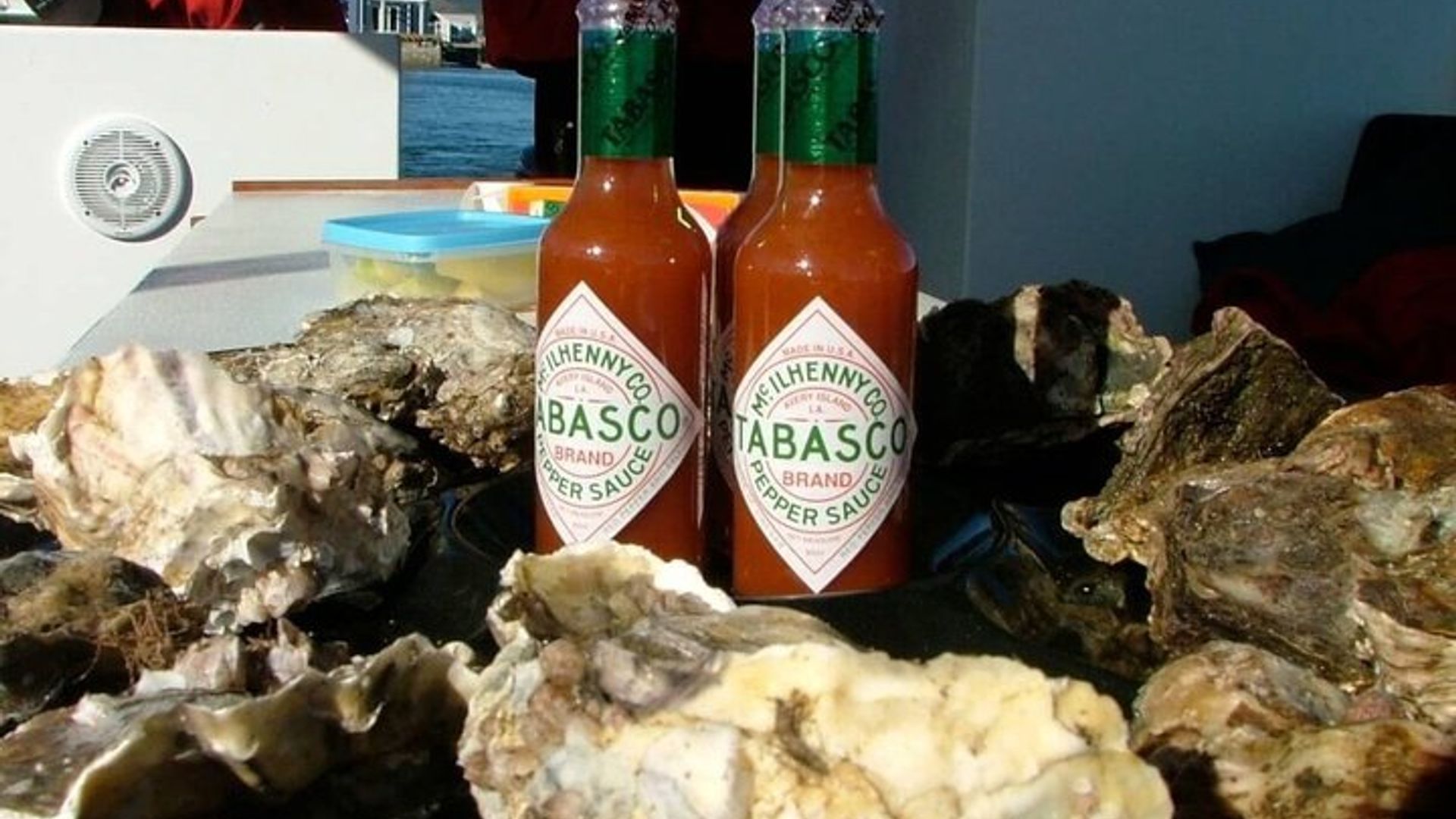 Visite des huîtres en petit groupe à Knysna