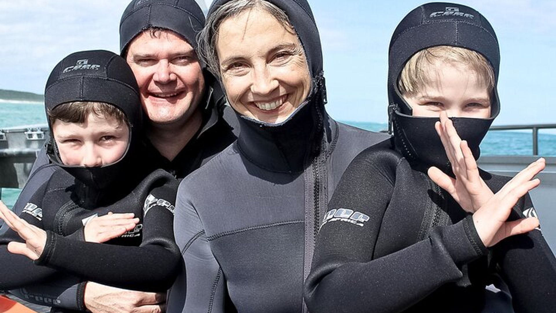 Ciudad del Cabo : Avistamiento de tiburones y buceo en jaula con traslados