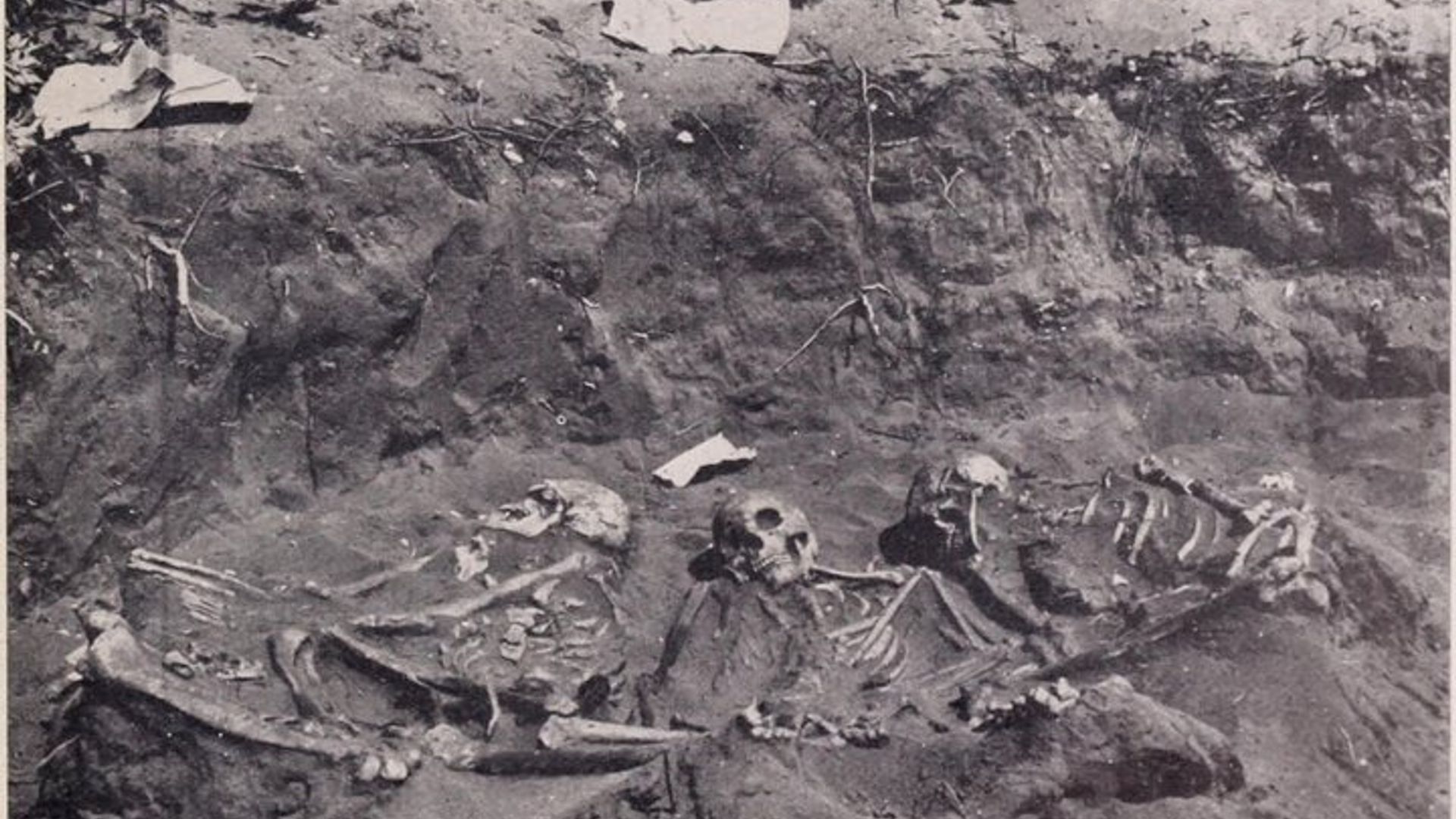Death in New York Walking Tour image 1