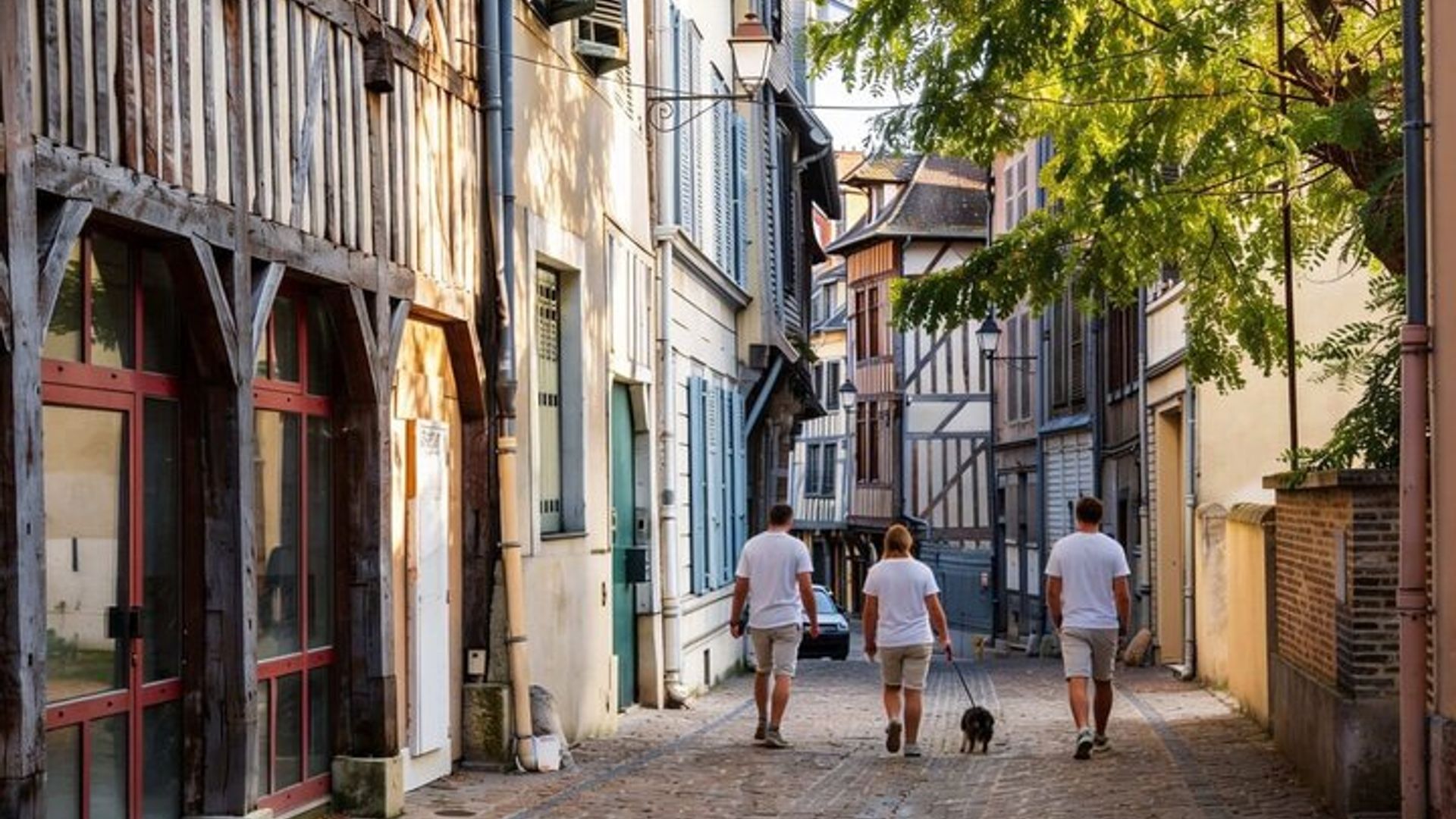 Hello Troyes : Private 2 - Hour Intro Paseo por la ciudad con guía local
