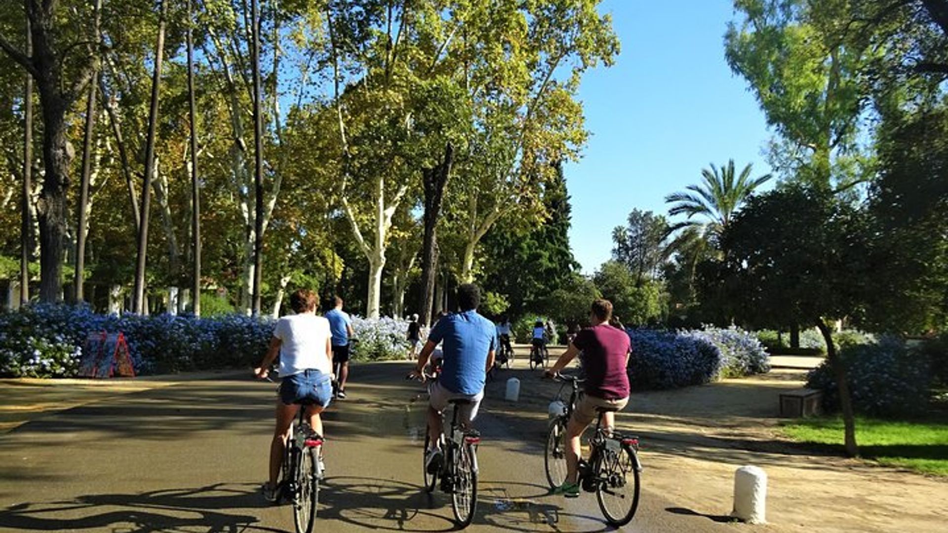 Destaques da Cidade de Sevilha: Tour Guiado em E-Bike para Pequenos Grupos sobre História