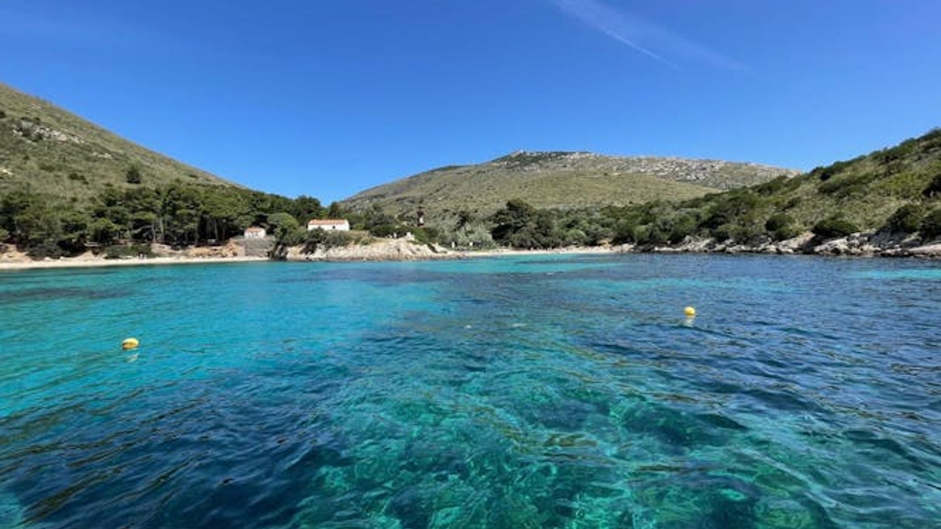 Bados to Figarolo dolphin-watching experience with a marine biologist